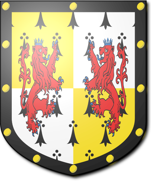 Shield image