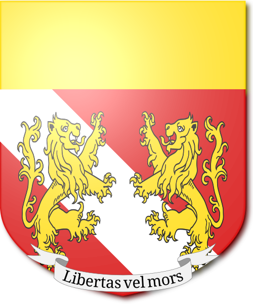 Shield image