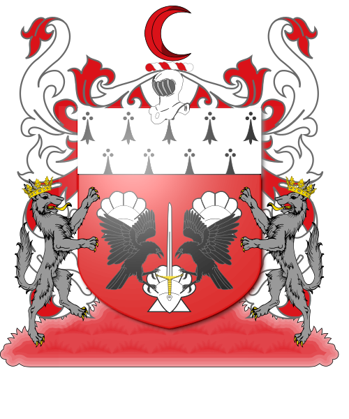 Shield image