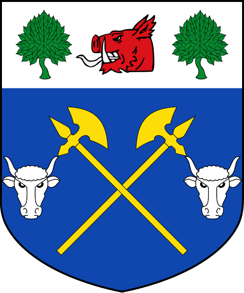 Shield image