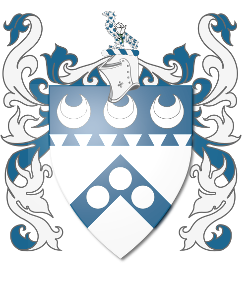 Shield image