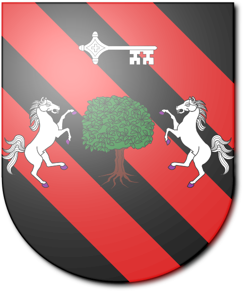 Shield image