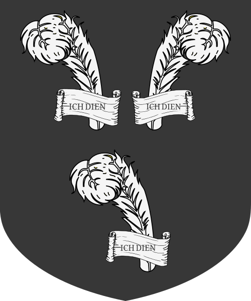 Shield image