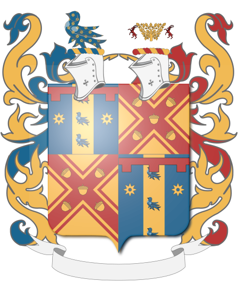 Shield image