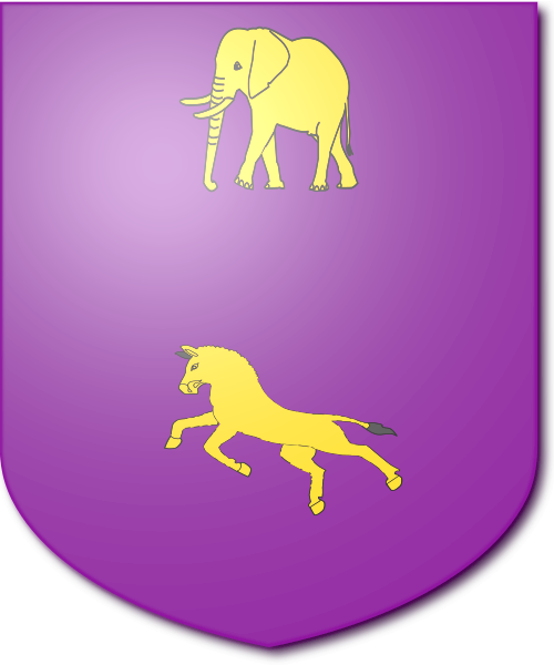 Shield image