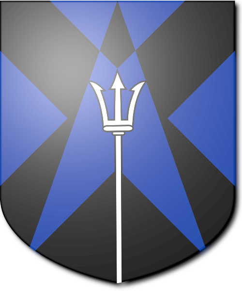 Shield image