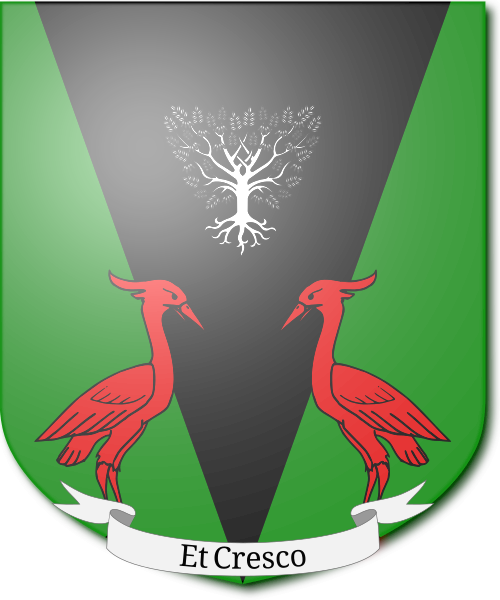 Shield image