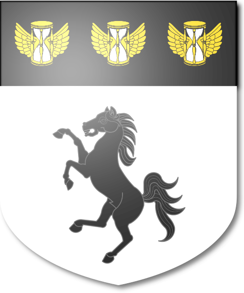 Shield image