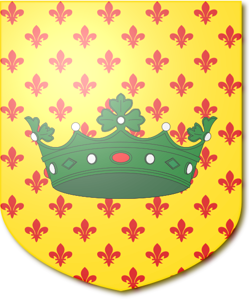 Shield image