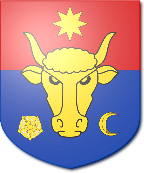 Shield image