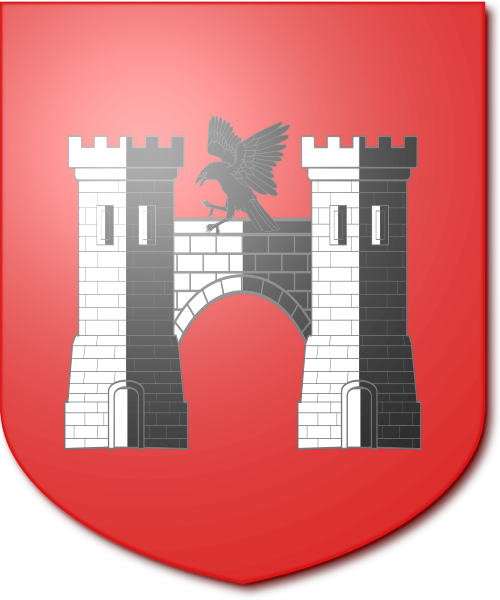 Shield image