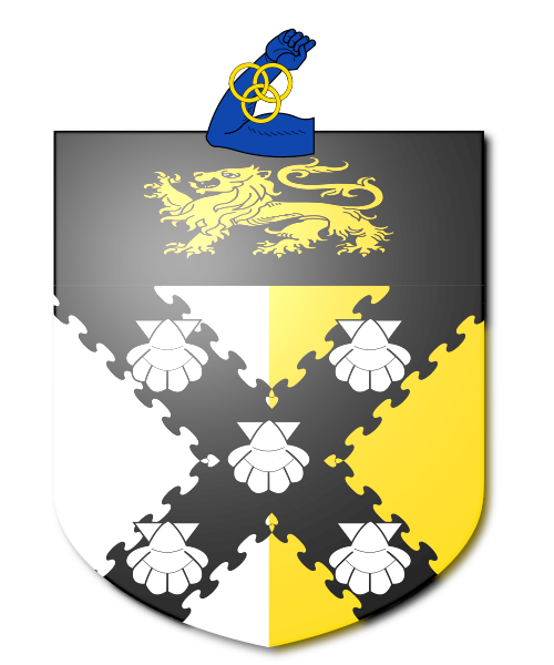 Shield image