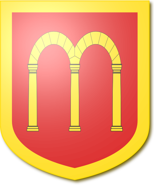 Shield image