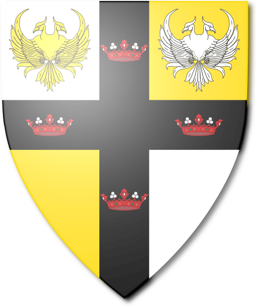 Shield image