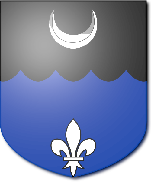 Shield image