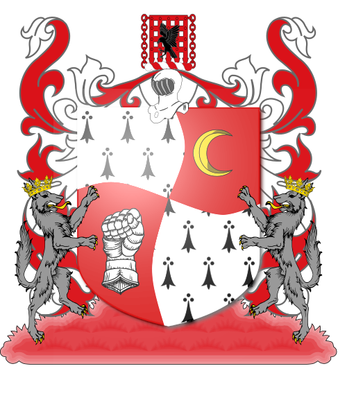 Shield image