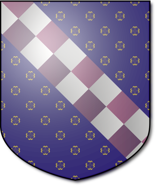 Shield image