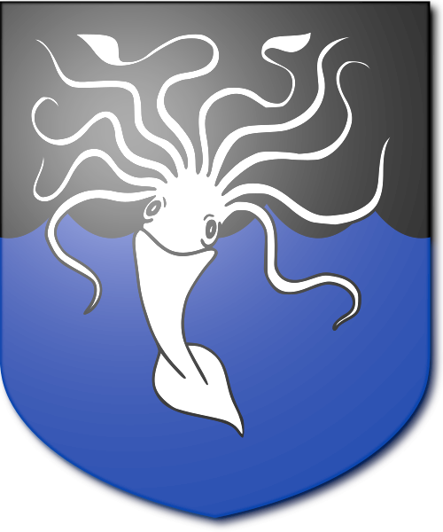 Shield image