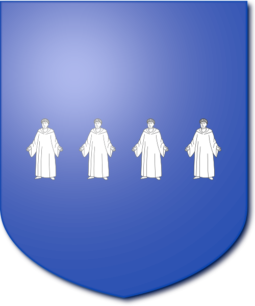 Shield image