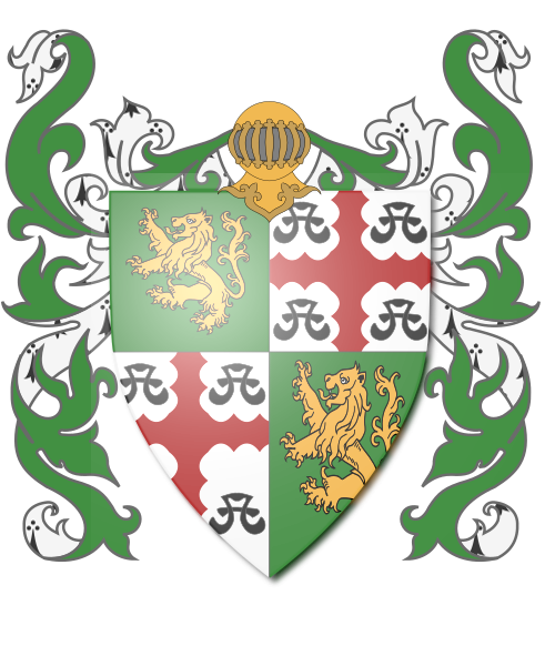 Shield image