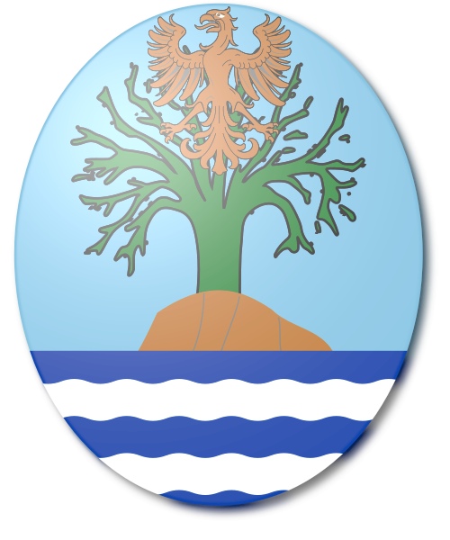 Shield image