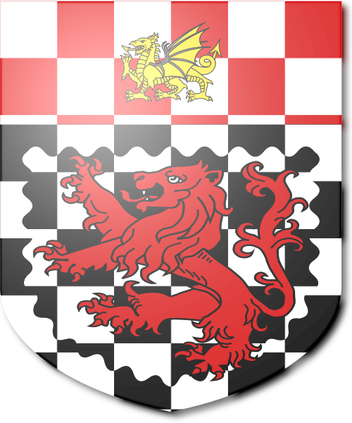 Shield image