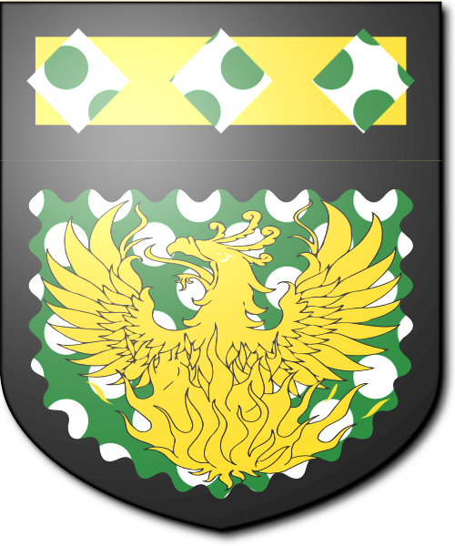 Shield image