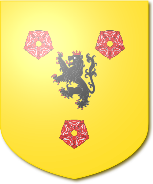 Shield image