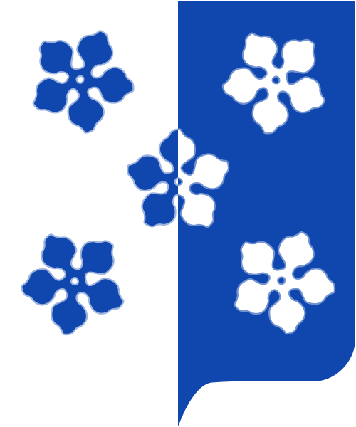 Shield image
