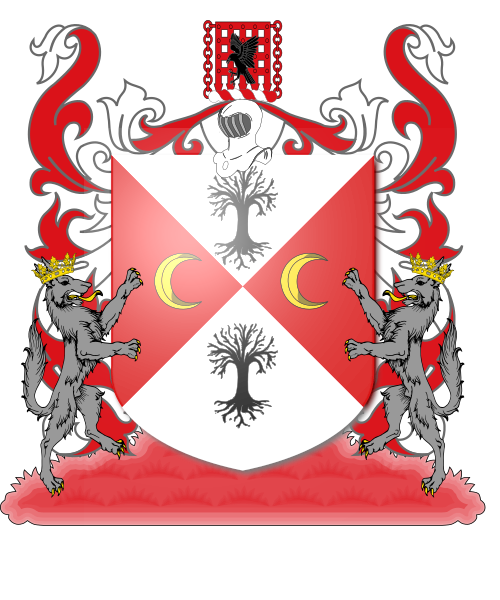 Shield image