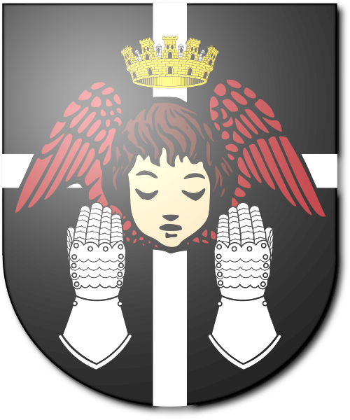 Shield image