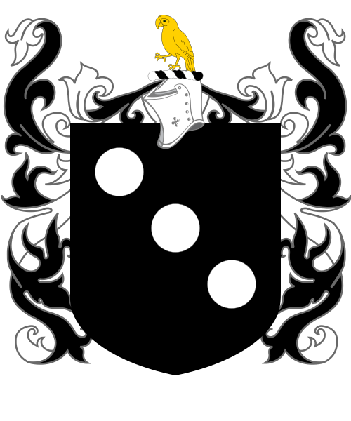 Shield image