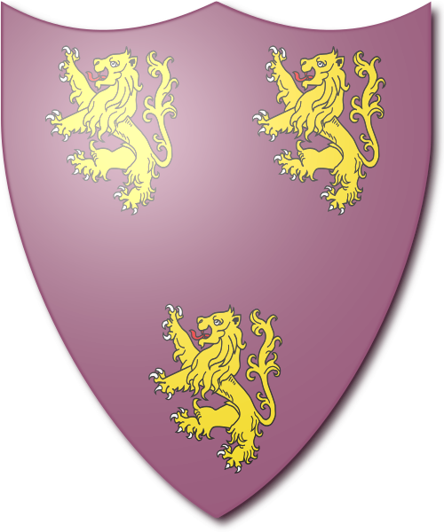 Shield image