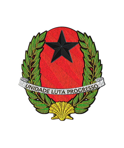 Shield image
