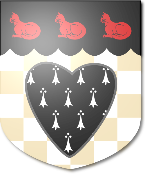 Shield image