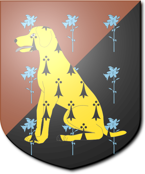 Shield image
