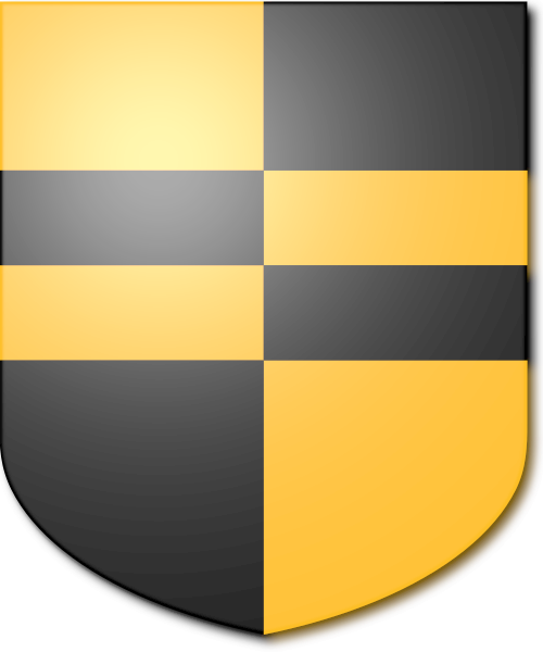 Shield image