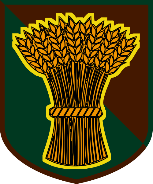 Shield image