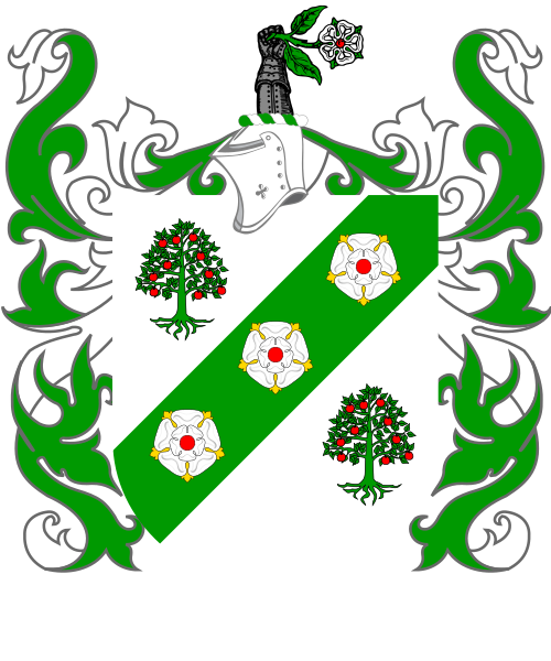 Shield image