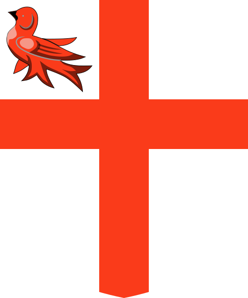 Shield image