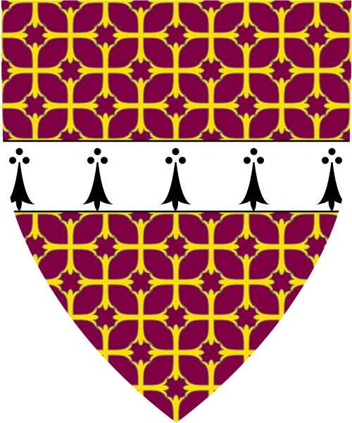 Shield image