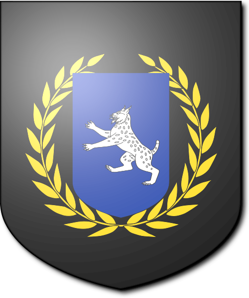 Shield image