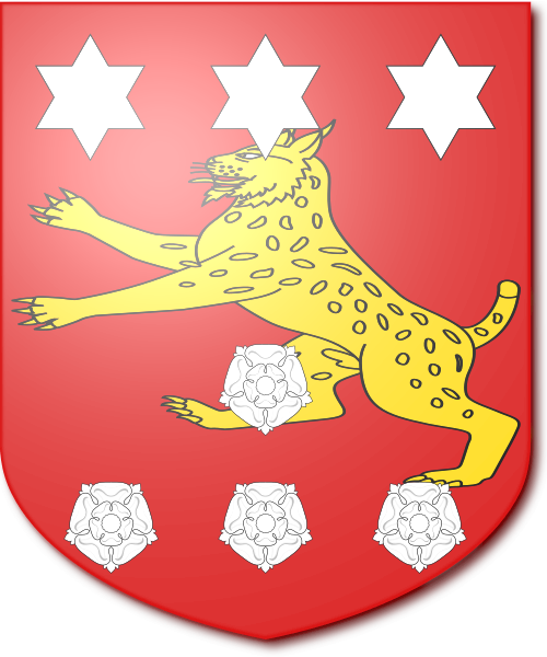 Shield image