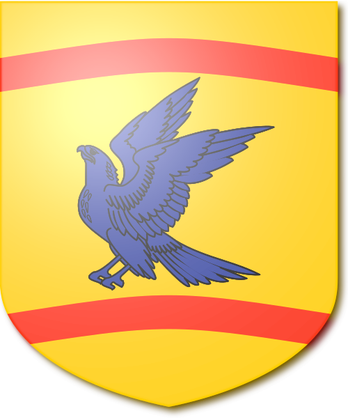 Shield image