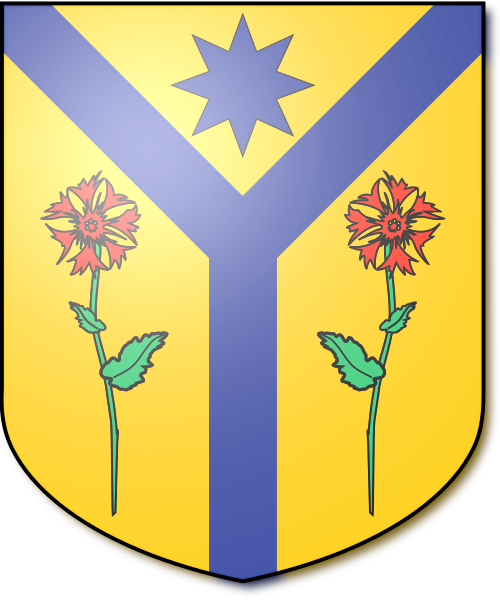 Shield image