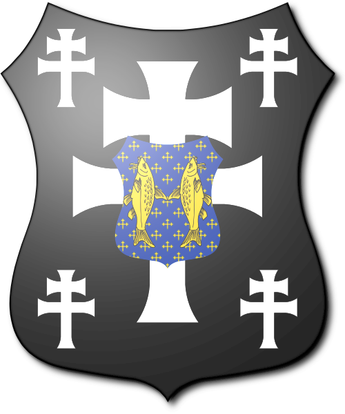 Shield image