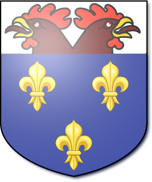 Shield image