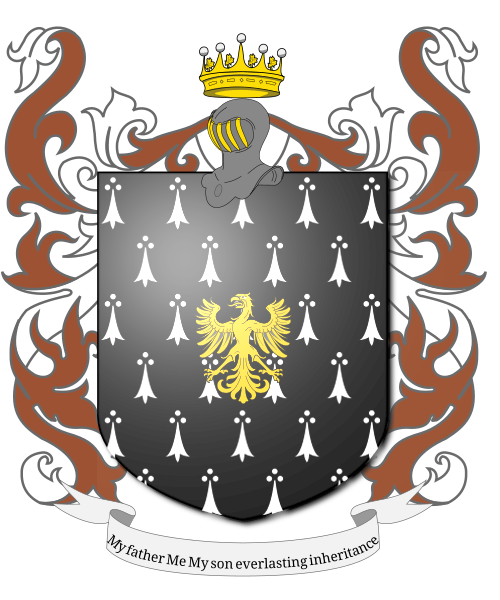 Shield image