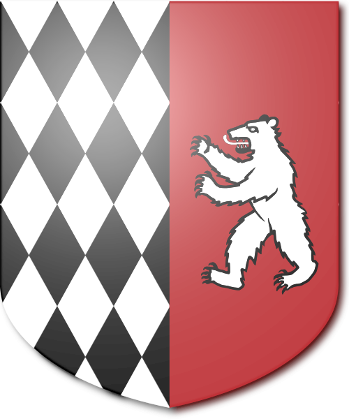 Shield image