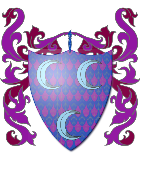 Shield image
